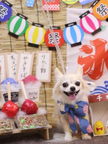 20240711ミルクちゃん